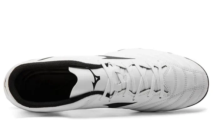 Monarcida Neo II Select AG “White Black”