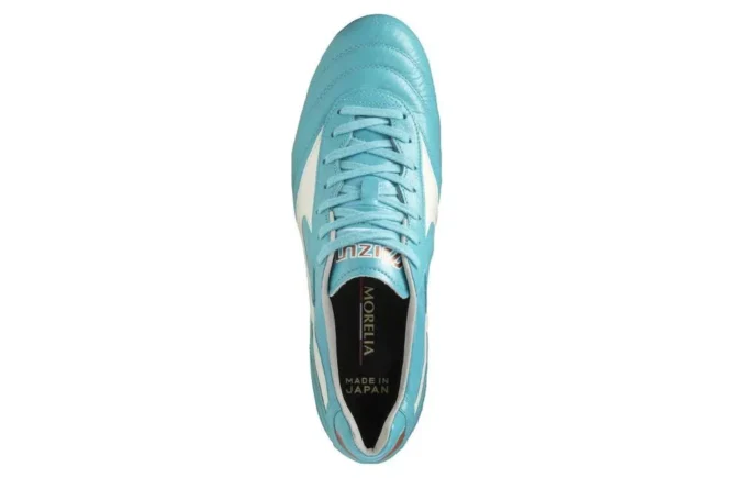 Morelia 2 Japan “Blue Curacao”