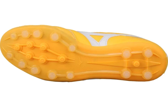 Morelia 2 Pro AG
