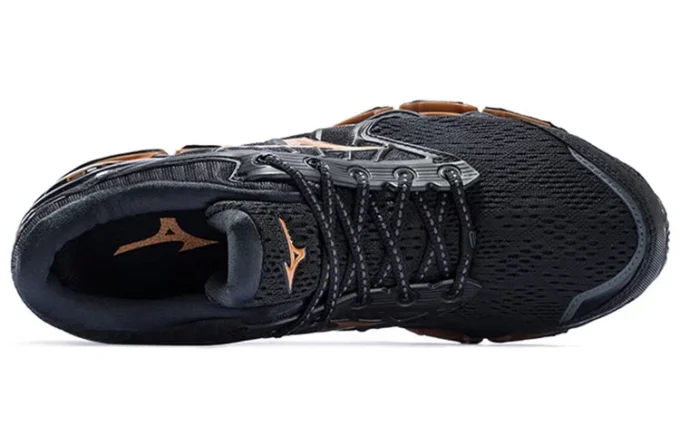 Wave Prophecy 9 “Black Brown”