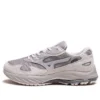 Wave Rider GTX “Wind Chime Opal Grey Quiet Shade”
